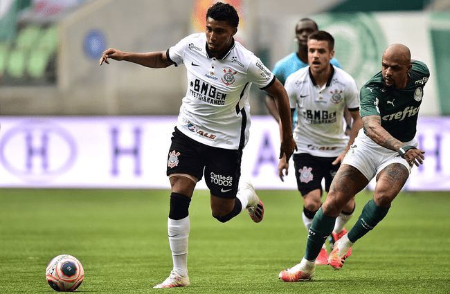 她们的表现 她们的表现