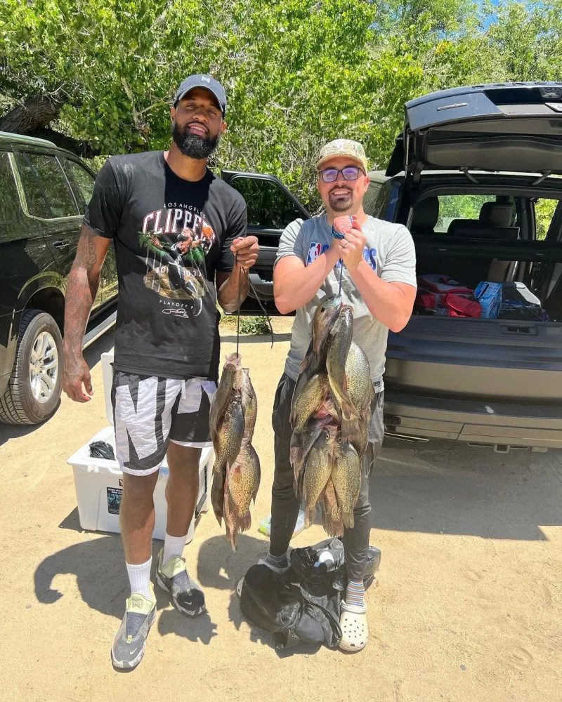 冬窗买家预 冬窗买家预